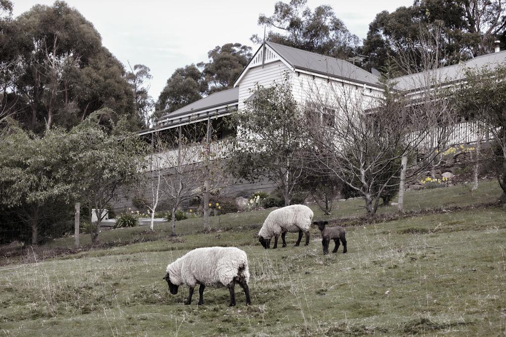 House On The Hill Bed And Breakfast Huonville Exterior foto